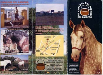 catalogo 00