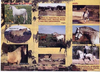 catalogo 2