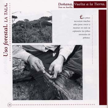 vuelta26
