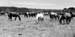 d 23