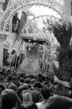 35 procesion