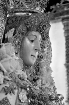 38 virgen